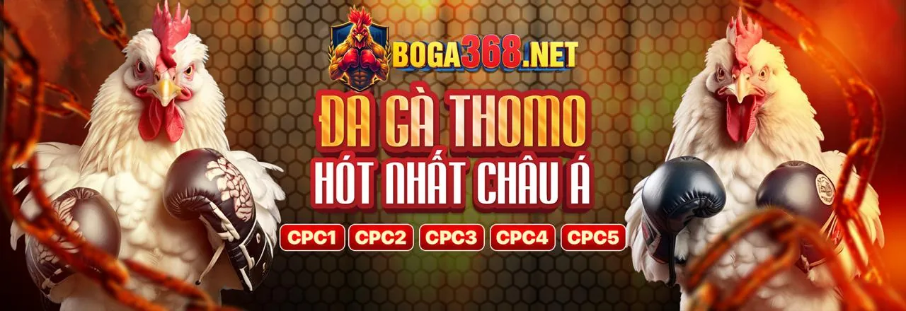Ưu đãi độc quyền 999ok code