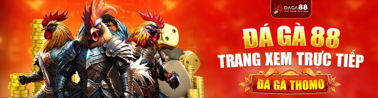 Đá Gà Trực Tuyến Tại 999ok code