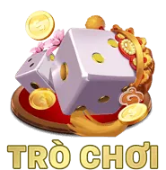 Biểu tượng đặc quyền VIP